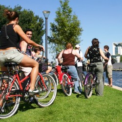 Guided Pro Cycling Tour In Munnar